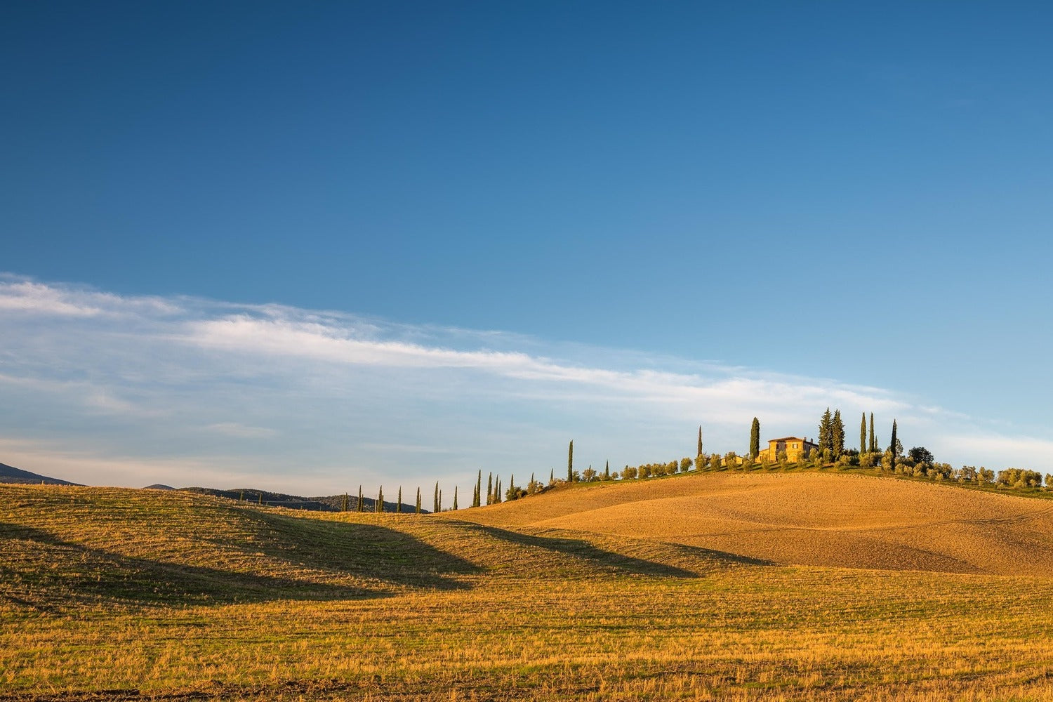 Determine the Location and Layout of the Cabin