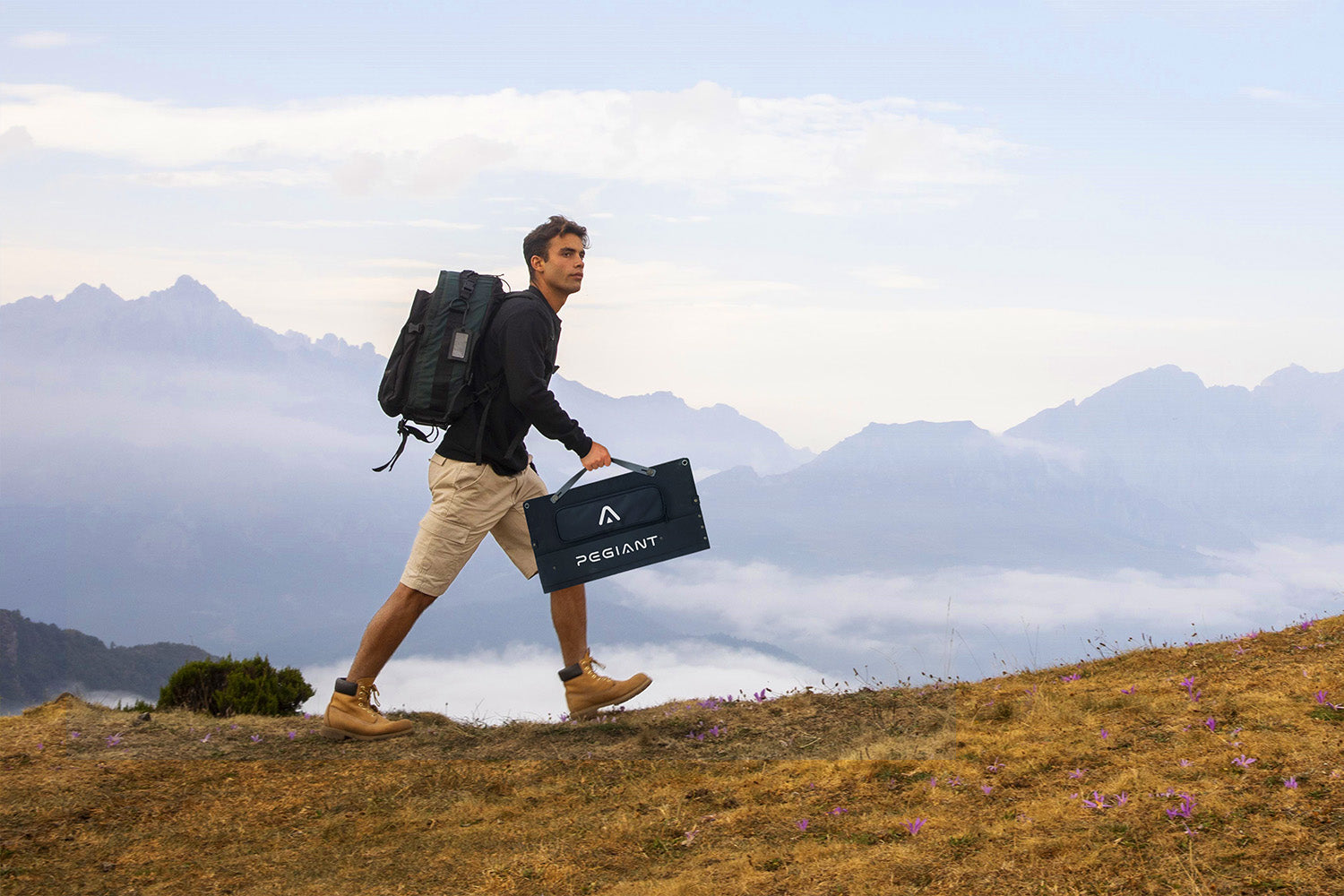 pegiant pv100 solar panel for off grid cabin