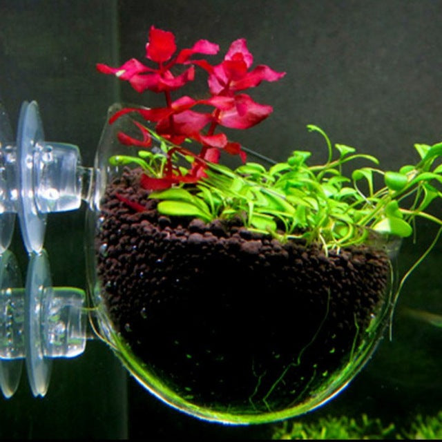Aquarium Fish Tank Mini Crystal Glass Pot Polka