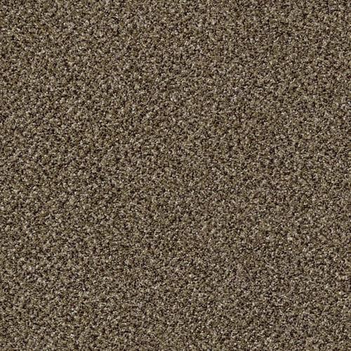 Shaw Wide Width Statuette I 12-ft- Pinecone Pinecone Textured Carpet Sample (Interior)