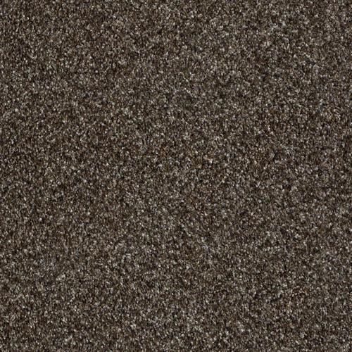 Shaw Wide Width Statuette III 12ft-Mystic River Mystic River Textured Carpet Sample (Interior)