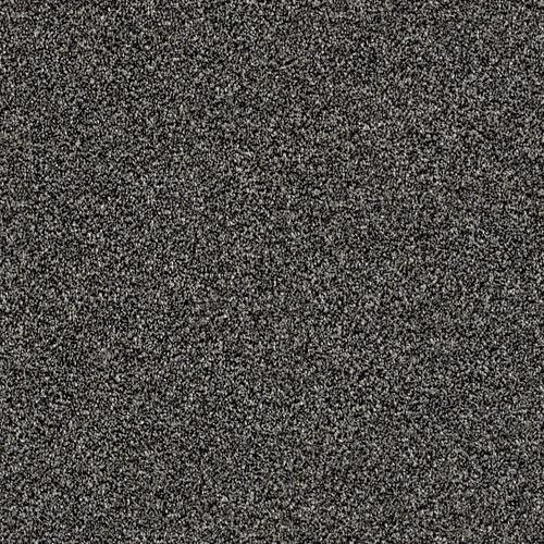 Shaw Wide Width Sculpture I 12-ft- Soot Soot Textured Carpet Sample (Interior)