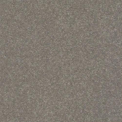 STAINMASTER Essentials Blue Diamonds I 12-ft Tree Bark Textured Carpet (Indoor)