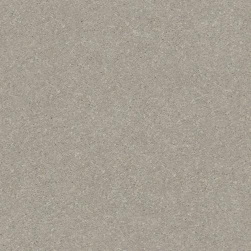 STAINMASTER Essentials Blue Diamonds I 15-ft Greige Textured Carpet (Indoor)