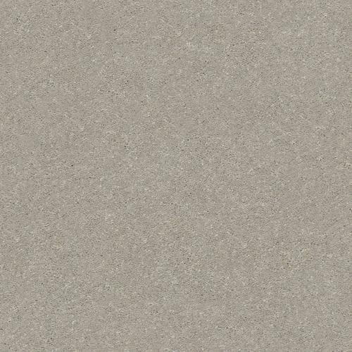 STAINMASTER Essentials Blue Diamonds III 15-ft Greige Textured Carpet (Indoor)