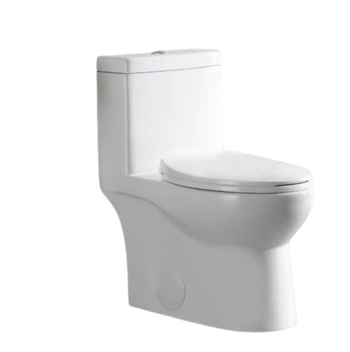 Ally 1-Piece 1.1/1.6 GPF Dual Flush Elongated ADA Comfort Height Toilet in Glossy White Seat Included