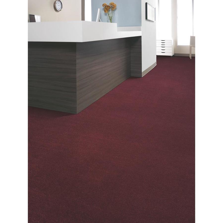 Home & Office Sophisticated Look 30 Oregano Plush Carpet (Indoor)