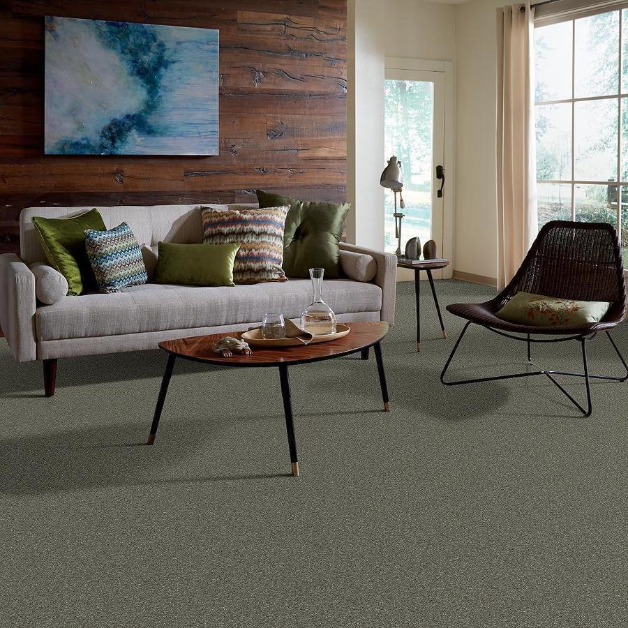 STAINMASTER PetProtect Baxter II Winston Textured Carpet (Indoor)