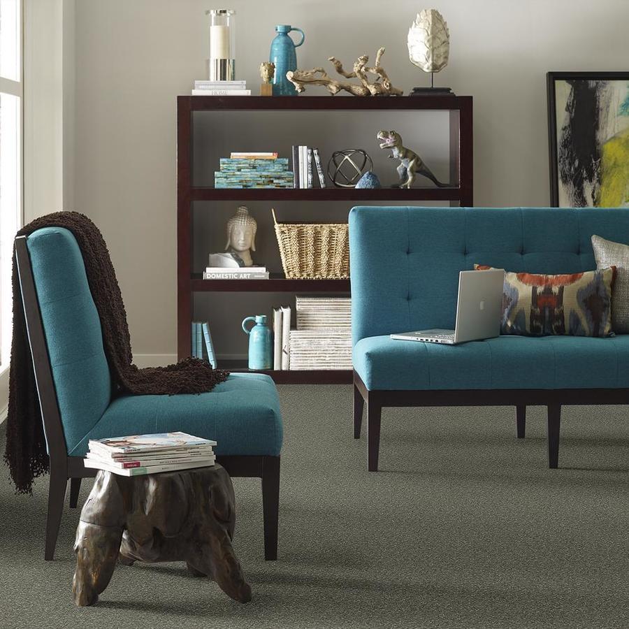 STAINMASTER PetProtect Baxter II Winston Textured Carpet (Indoor)