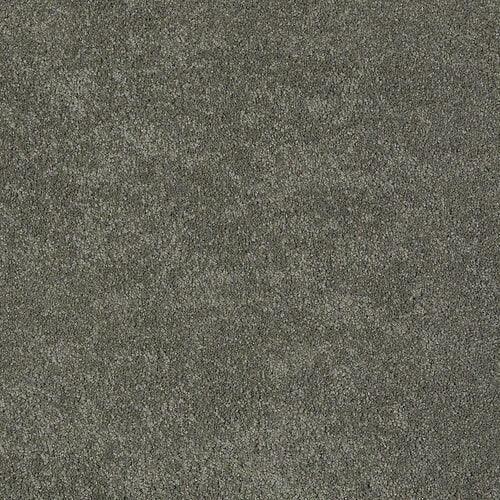 STAINMASTER PetProtect Baxter II Winston Textured Carpet (Indoor)