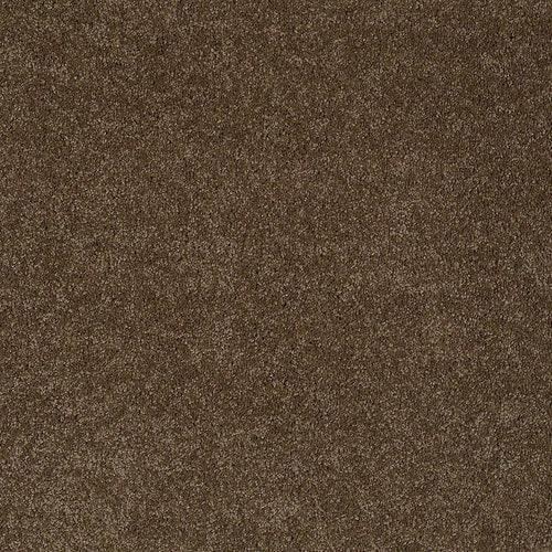 STAINMASTER PetProtect Baxter II Labrador Textured Carpet (Indoor)