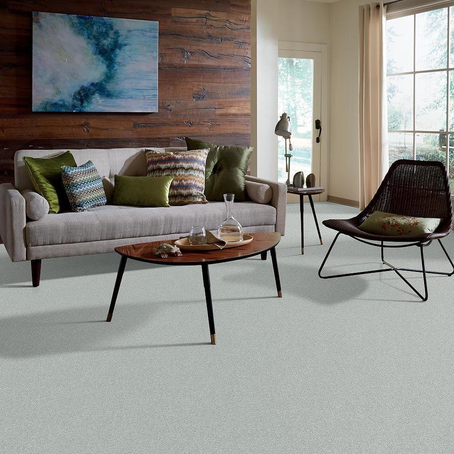 STAINMASTER PetProtect Baxter III Rex Textured Carpet (Indoor)