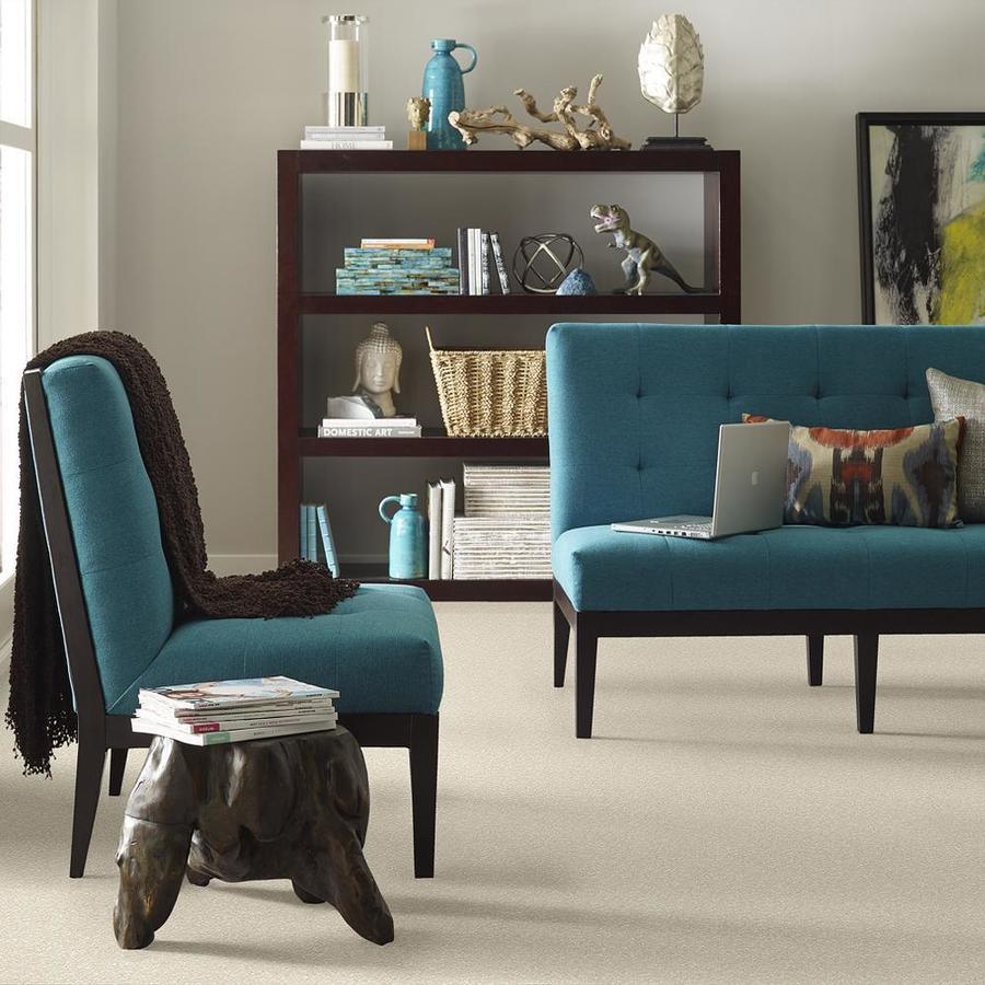STAINMASTER PetProtect Baxter I Pug Textured Carpet (Indoor)