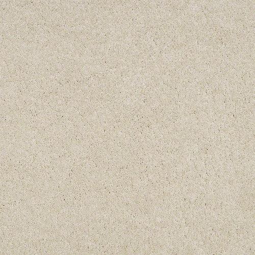 STAINMASTER PetProtect Baxter I Pug Textured Carpet (Indoor)