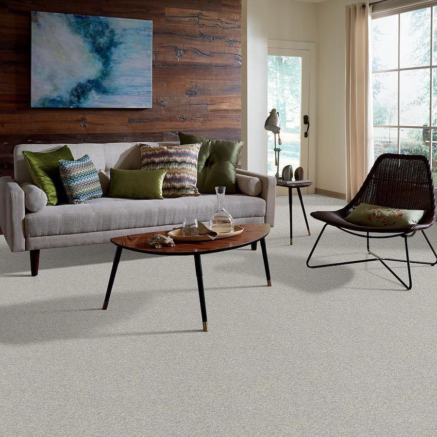 STAINMASTER PetProtect Baxter I Gizmo Textured Carpet (Indoor)