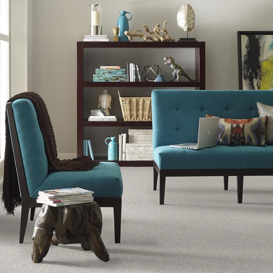 STAINMASTER PetProtect Baxter I Gizmo Textured Carpet (Indoor)