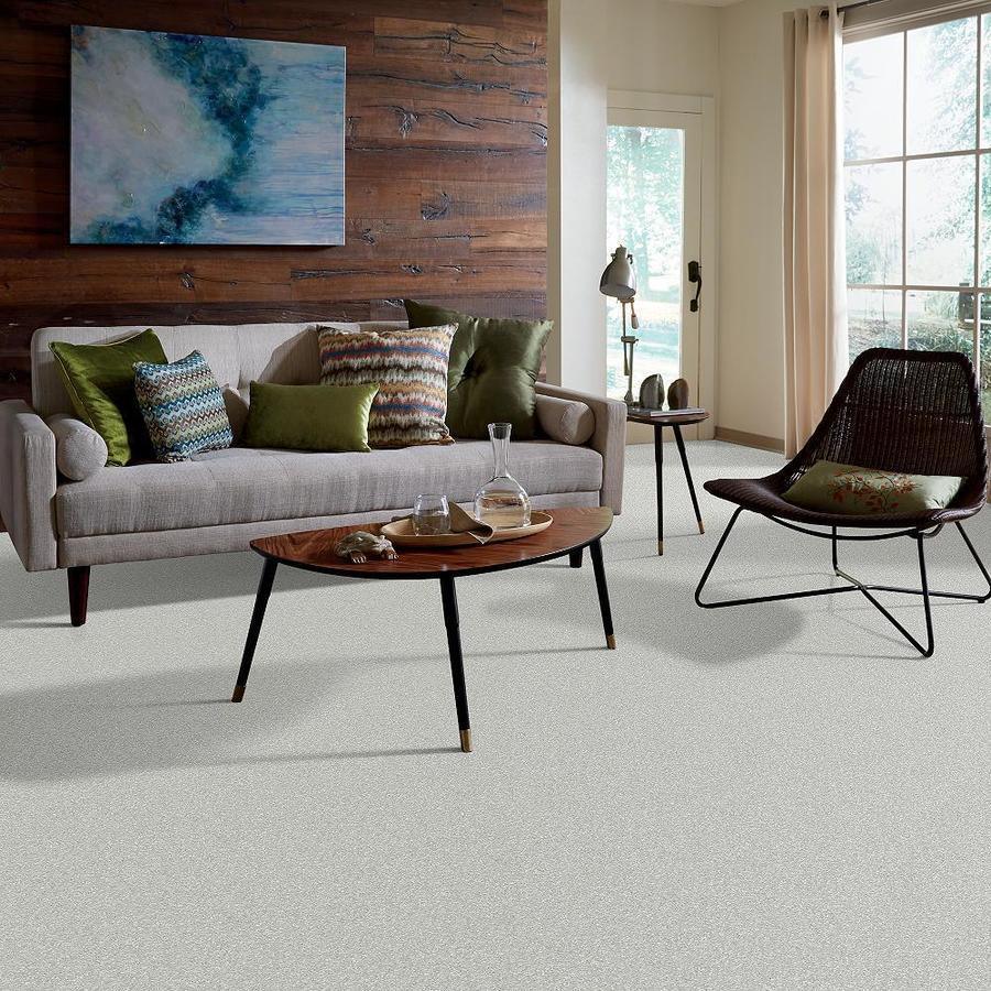 STAINMASTER PetProtect Baxter I Mac Textured Carpet (Indoor)