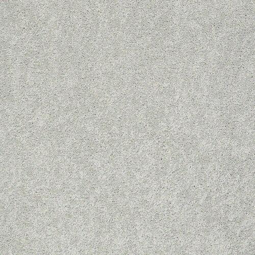 STAINMASTER PetProtect Baxter I Mac Textured Carpet (Indoor)