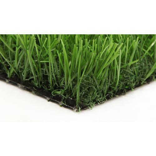 Everlast Absolute All-Green 7.5-ft W x Cut-to-Length Fescue Artificial Grass