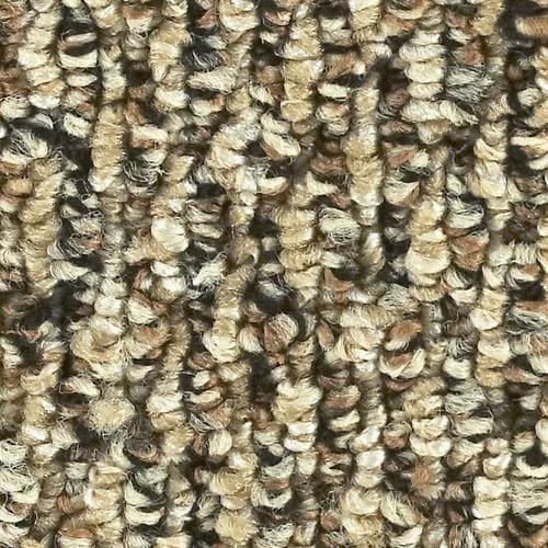 12-ft Berber/Loop Interior/Exterior Carpet