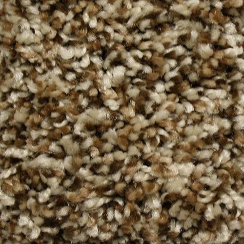 STAINMASTER Essentials Cadiz Heritage Textured Carpet (Indoor)