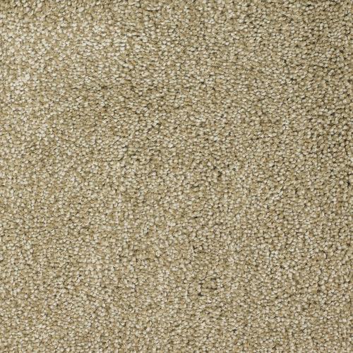 STAINMASTER Signature Briar Patch Weathered Textured Carpet (Indoor)