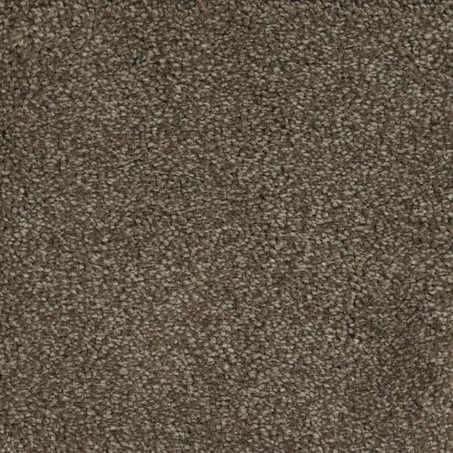 STAINMASTER Signature Briar Patch Kinston Textured Carpet (Indoor)