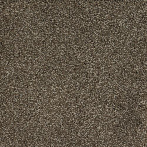 STAINMASTER Signature Briar Patch Kinston Textured Carpet (Indoor)