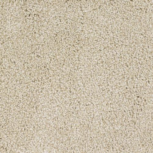 STAINMASTER Signature Shafer Valley Bamboo Textured Carpet (Indoor)