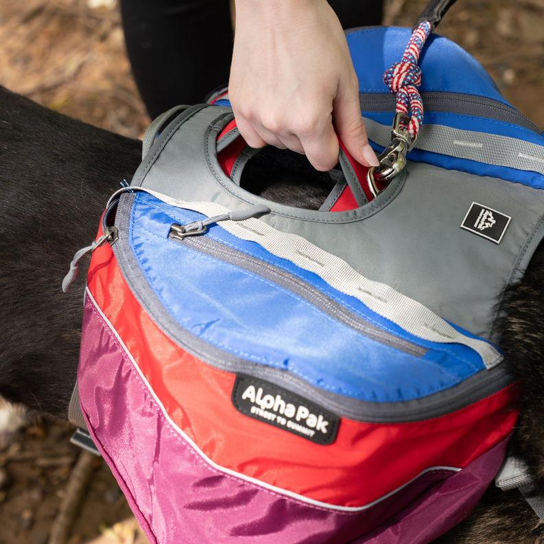 Adventurer 2-piece Dog Pack With EZ Latch  Harness