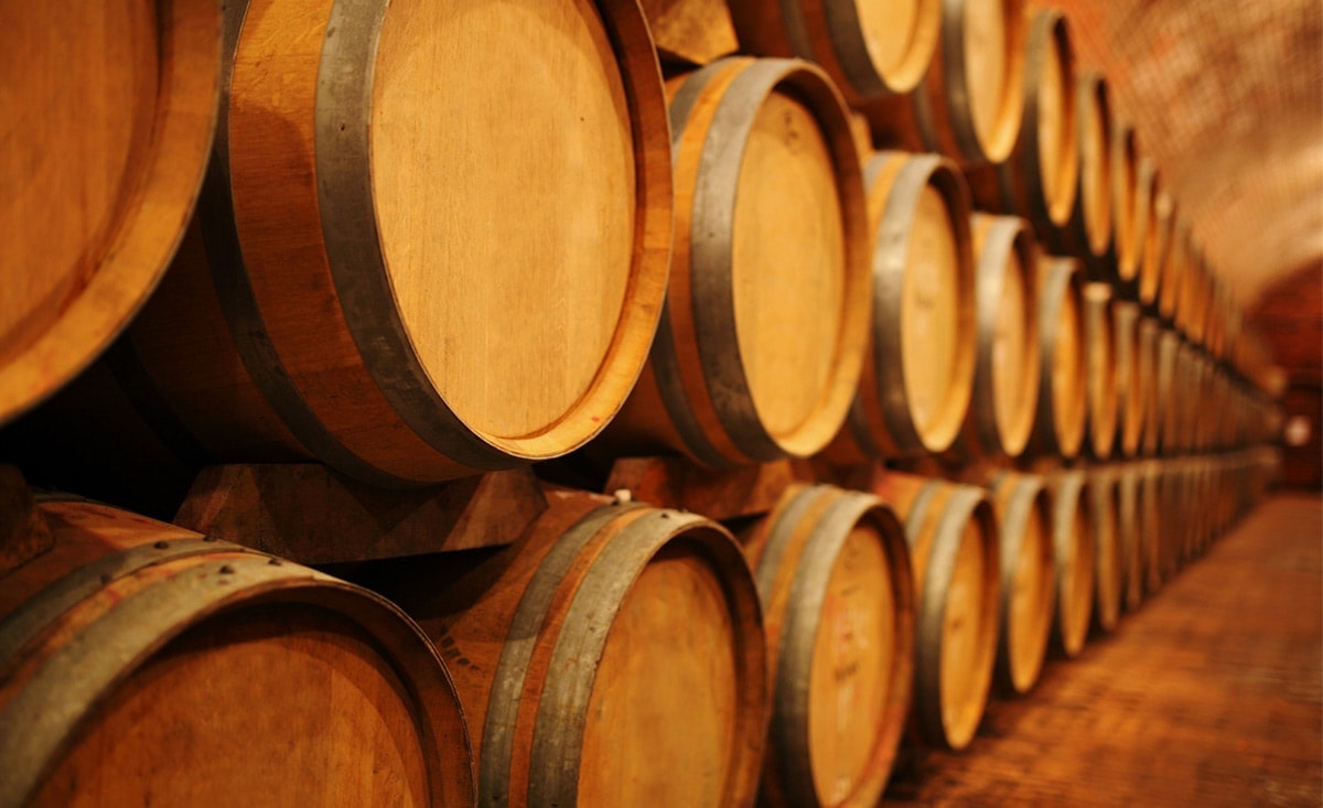 ワインセラーのMS1センサー