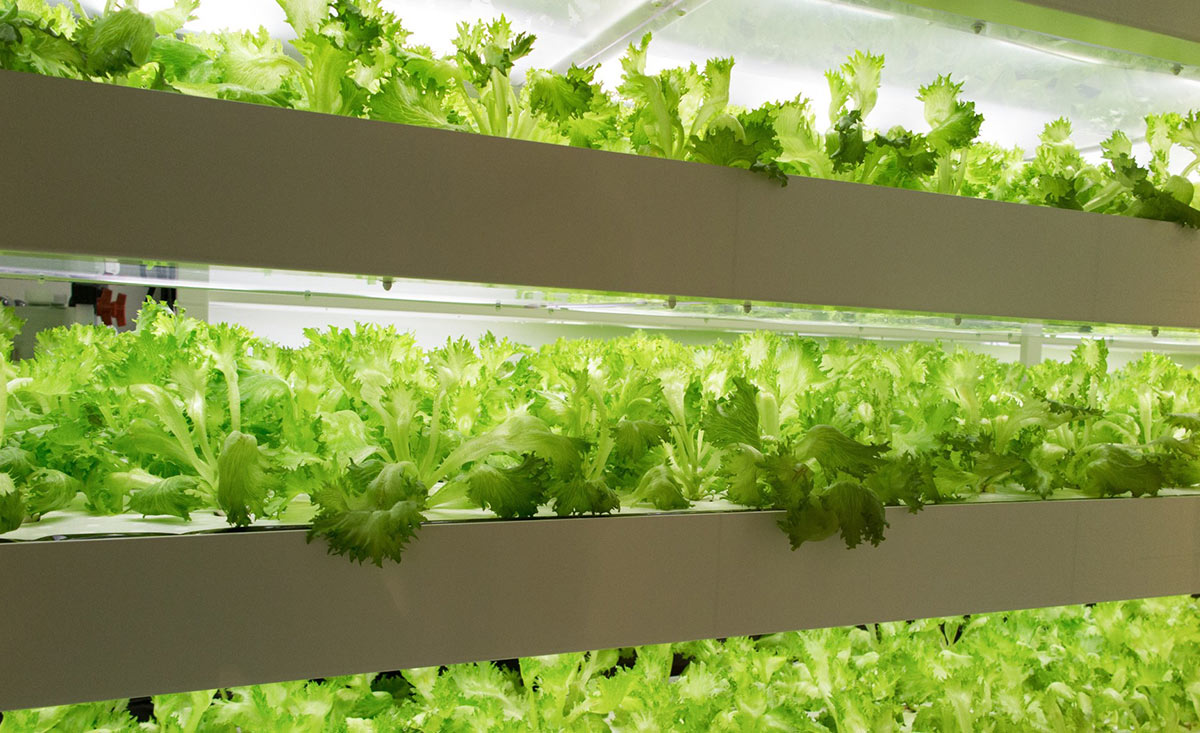 適切な温度の維持