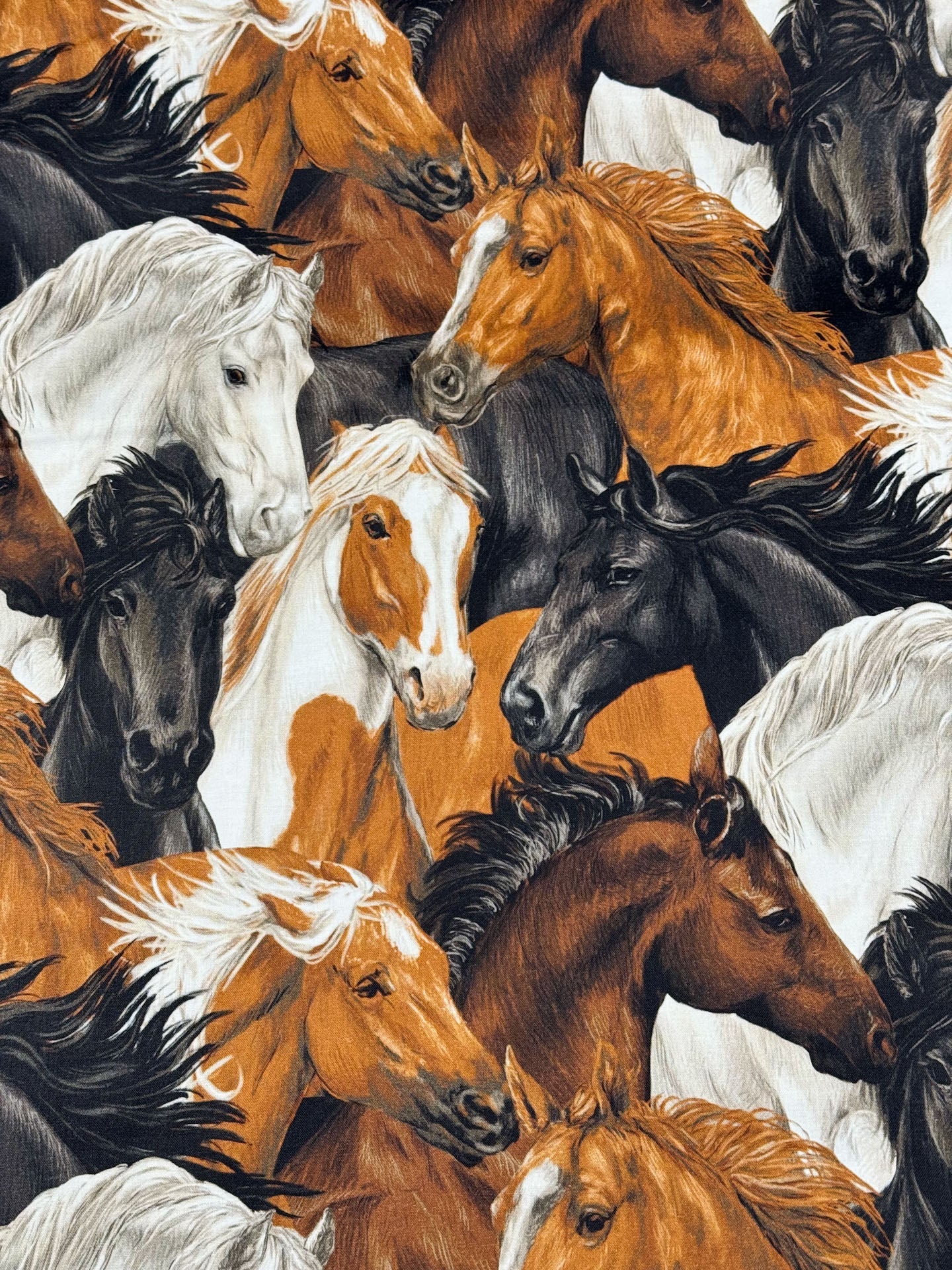 Run Free Horses fabric by the yard Paintbrush Studios