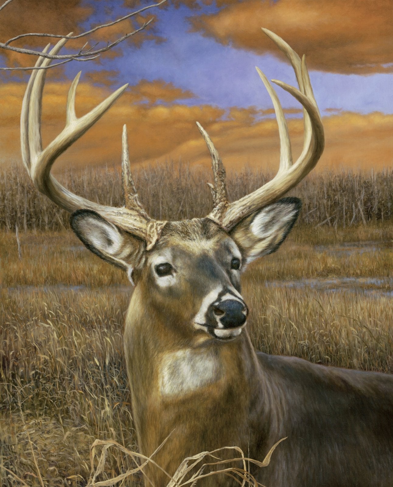 Fall Splendor Deer panel 35.5