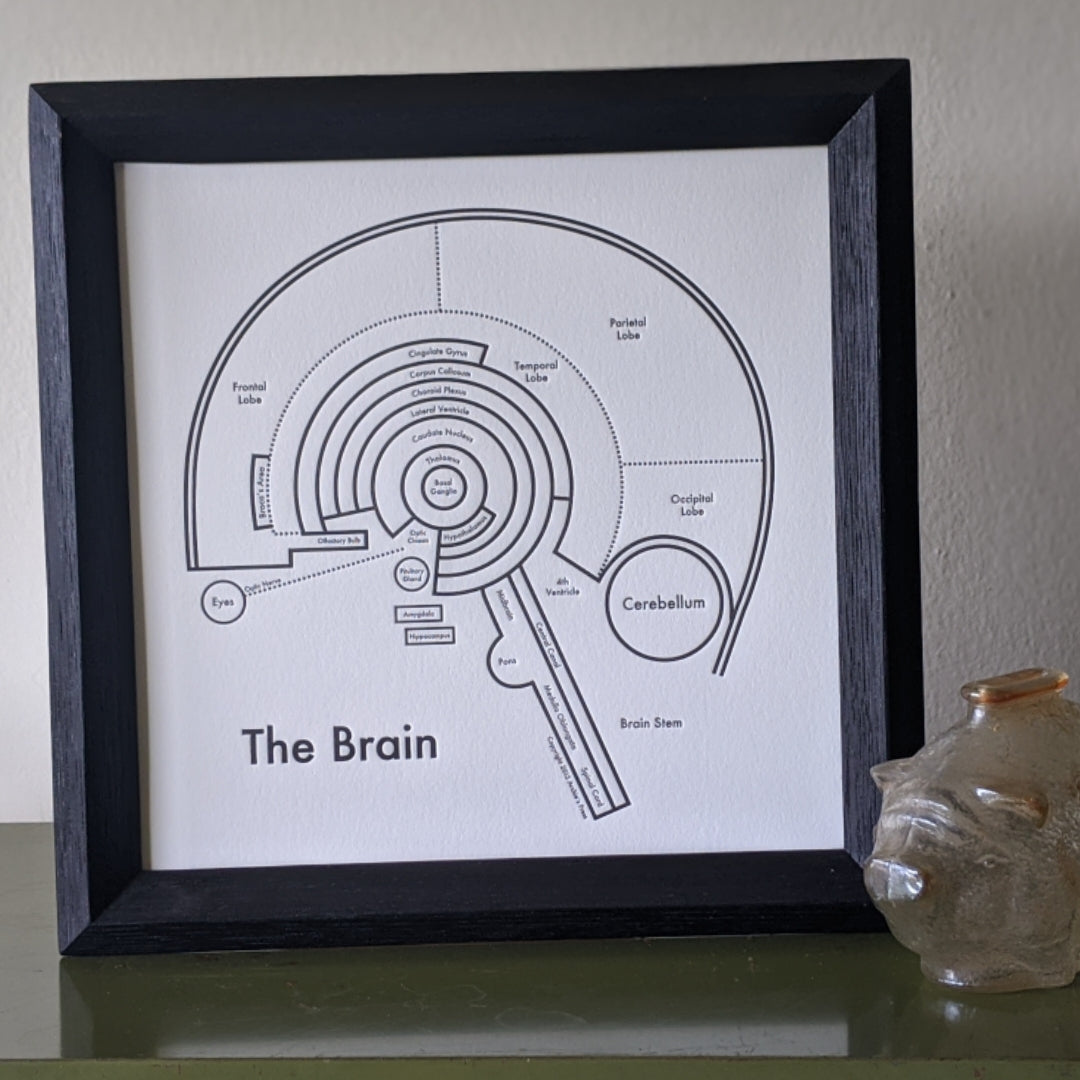 The Brain Print