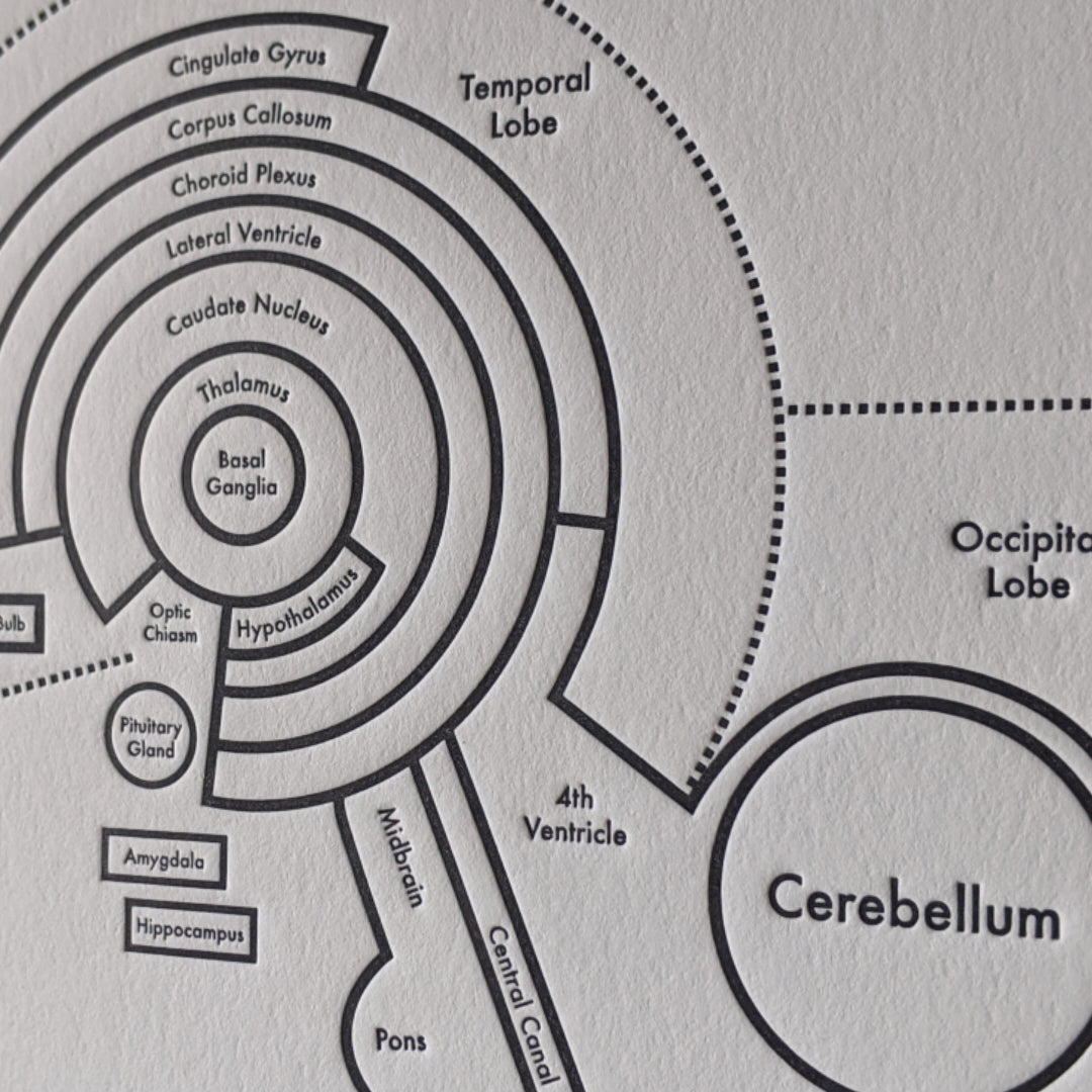 The Brain Print