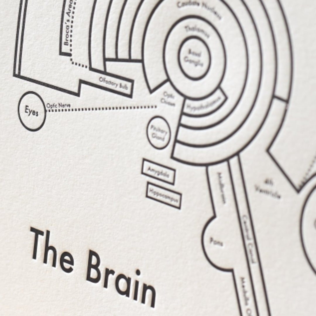 The Brain Print