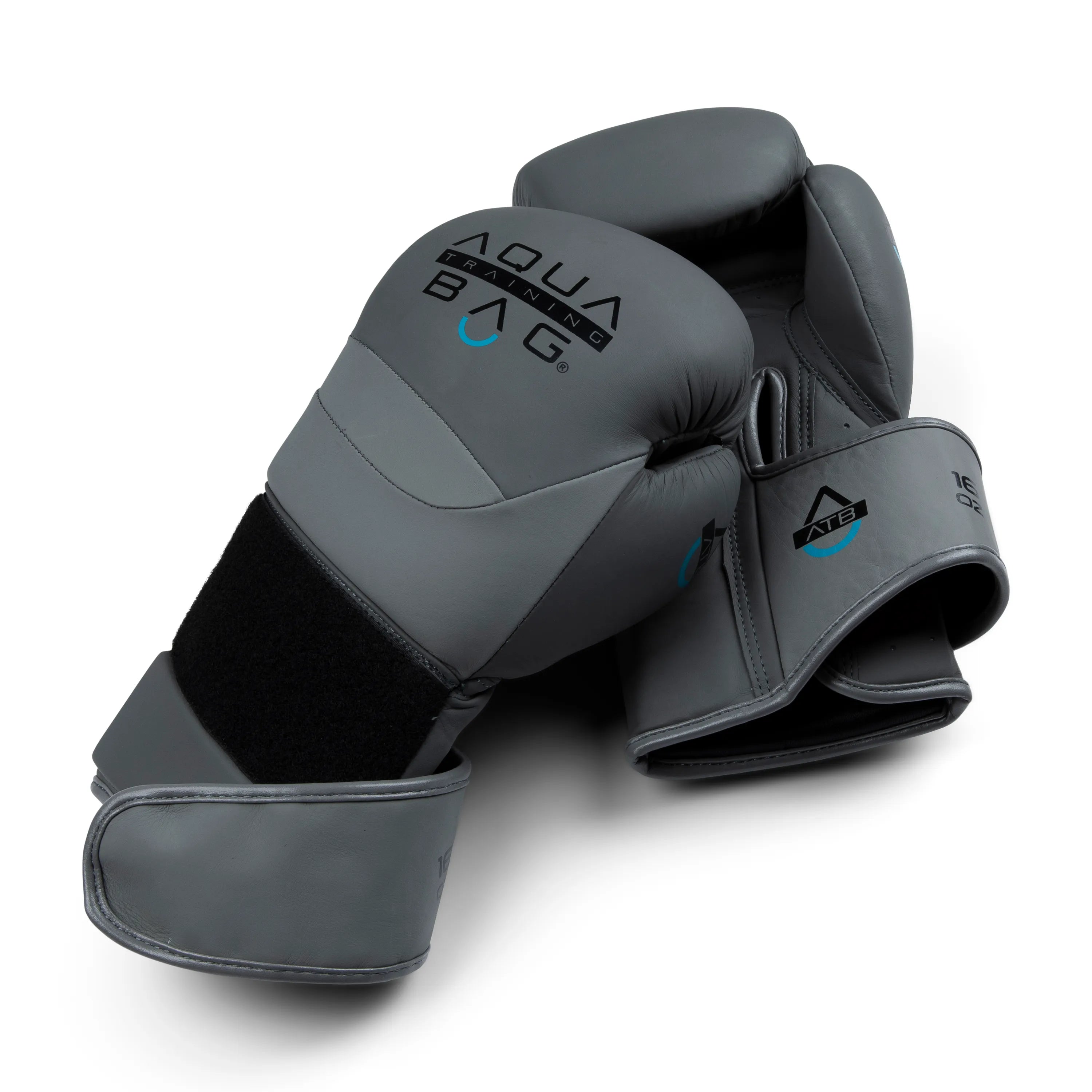 Aqua Training Bag? Torrent Boxing Glove