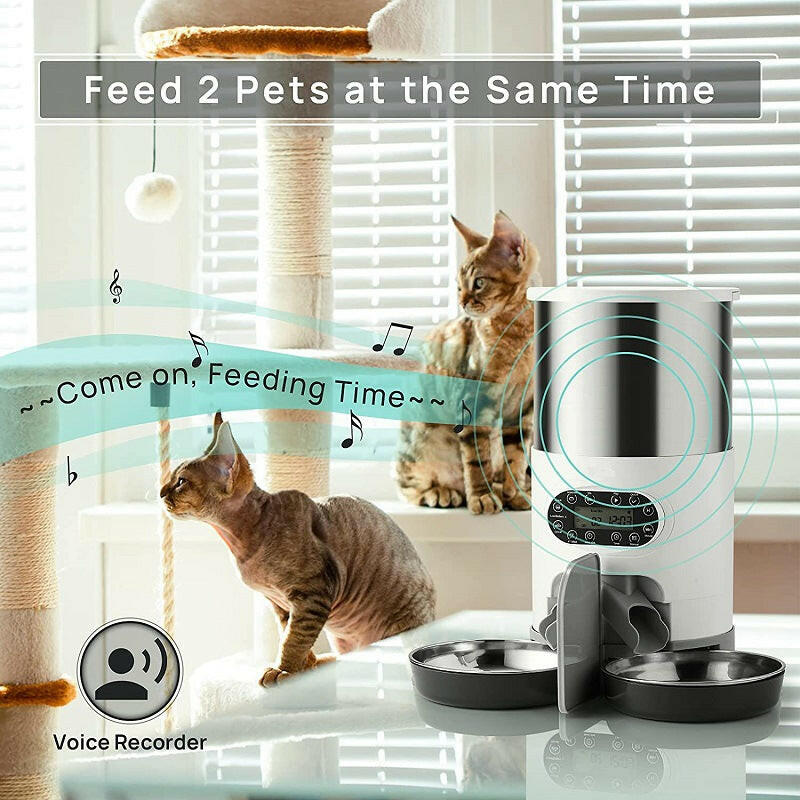 Smart Pet Feeder Automatic and Convenient?