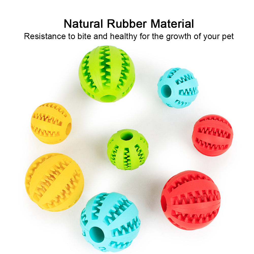 Snack Ball Training Toy