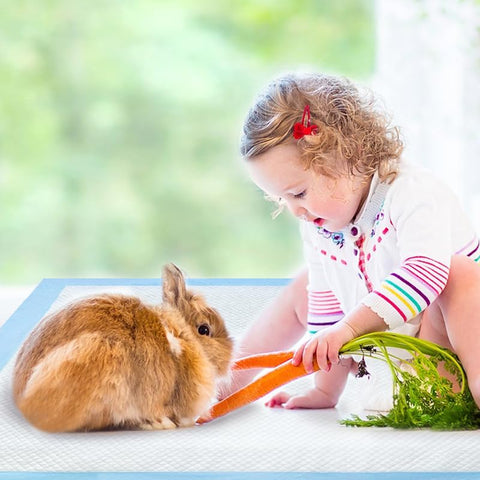 3d145580-9029-44ed-87ae-24347bae4896._SL850_FMjpg_.jpg__PID:0860debc-9c11-4238-8d67-47525be3be5e