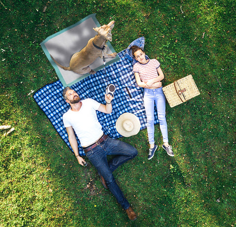 图5-1140+1094.jpg__PID:307458be-e00d-4620-9d26-20fd53214aa2