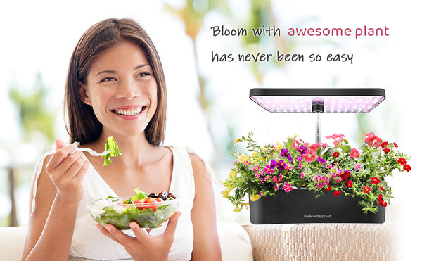 Grow all year around with Awesome Plant