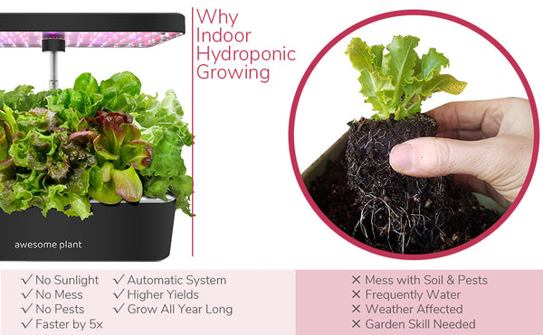 Grow all year around with Awesome Plant