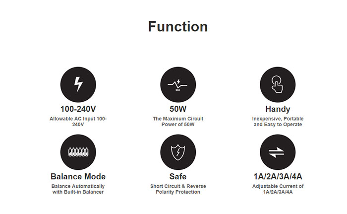 SKYRC E5 2-4S Battery charger