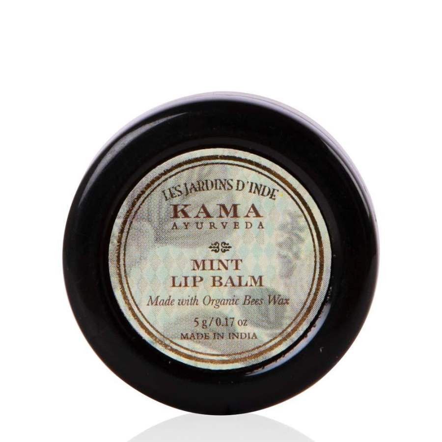 Kama Ayurveda Mint Lip Balm - 5 GM