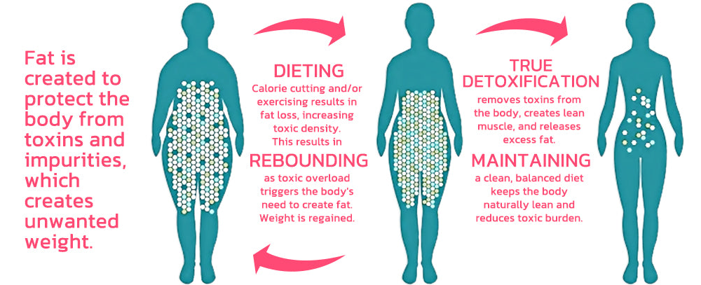 ๐๐๐ข๐๐ฅ๐จ๐ฎ๐ยฎ Fat Burning Ice Silk Ionic Fiber Shaping Shorts