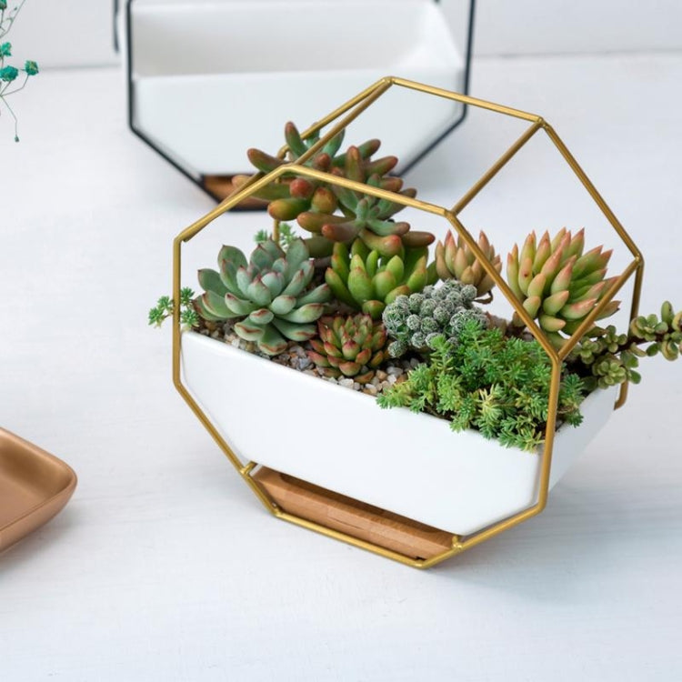 Simple Octagonal Geometric Wall Hanging Table Succulent Platter Bamboo Support Iron Frame Flower Pot(Gold)