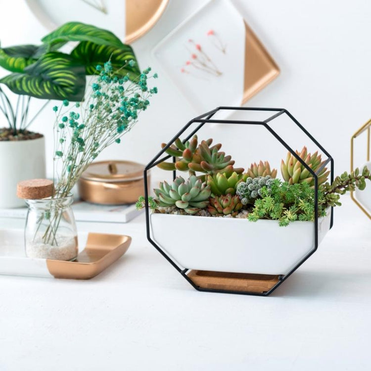 Simple Octagonal Geometric Wall Hanging Table Succulent Platter Bamboo Support Iron Frame Flower Pot(Gold)