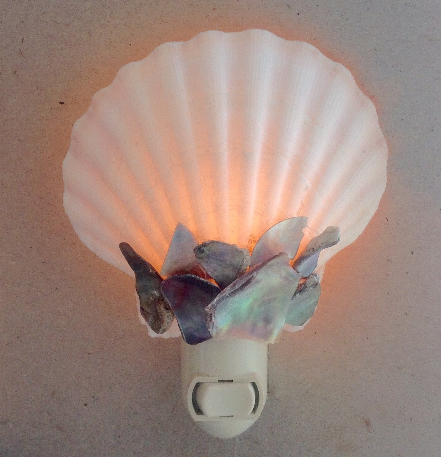 White Pecten Abalone Shell Nightlight